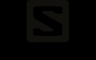 Salomon logo