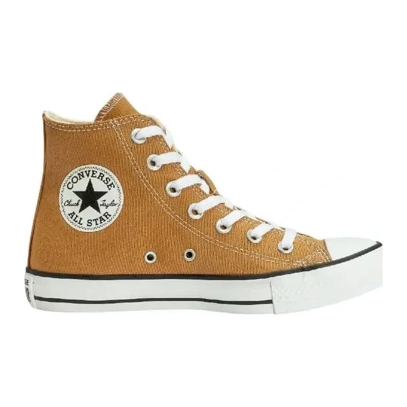 Converse Chuck Taylor All Star Slip On Seasonal Colors Low