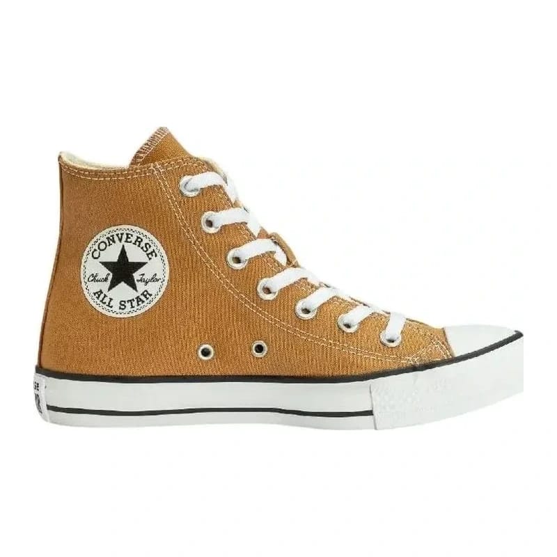 Converse Chuck Taylor All Star Slip On Seasonal Colors Low